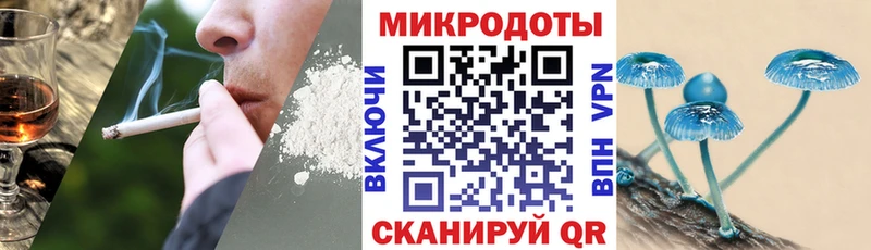 Купить закладки  Белоозёрский  Псилоцибиновые грибы Psilocybine cubensis 